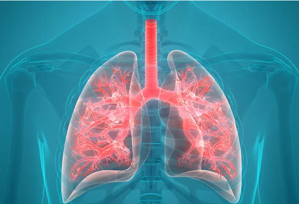 Homoeopathic chronic disease management in Manchar Pune